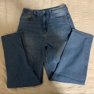 American Eagle Curvy Mom Jeans